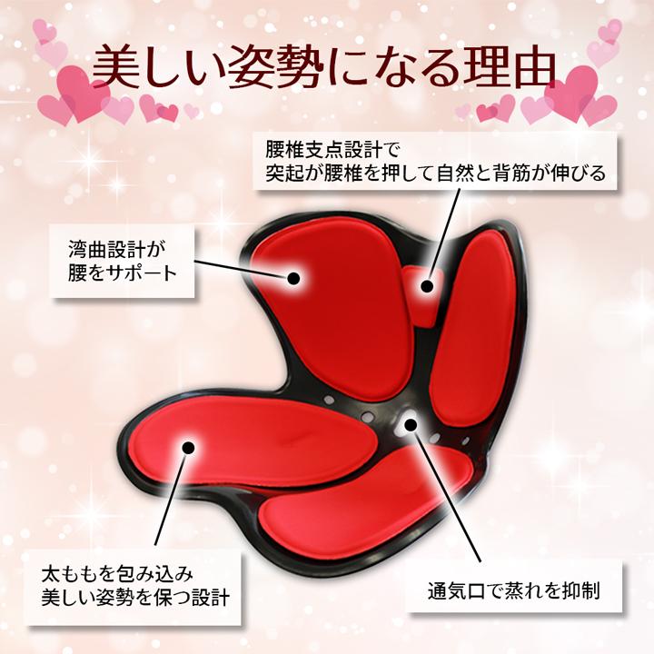 骨盤サポートチェア セシルシェイプ 座椅子 腰痛 骨盤 サポート シート