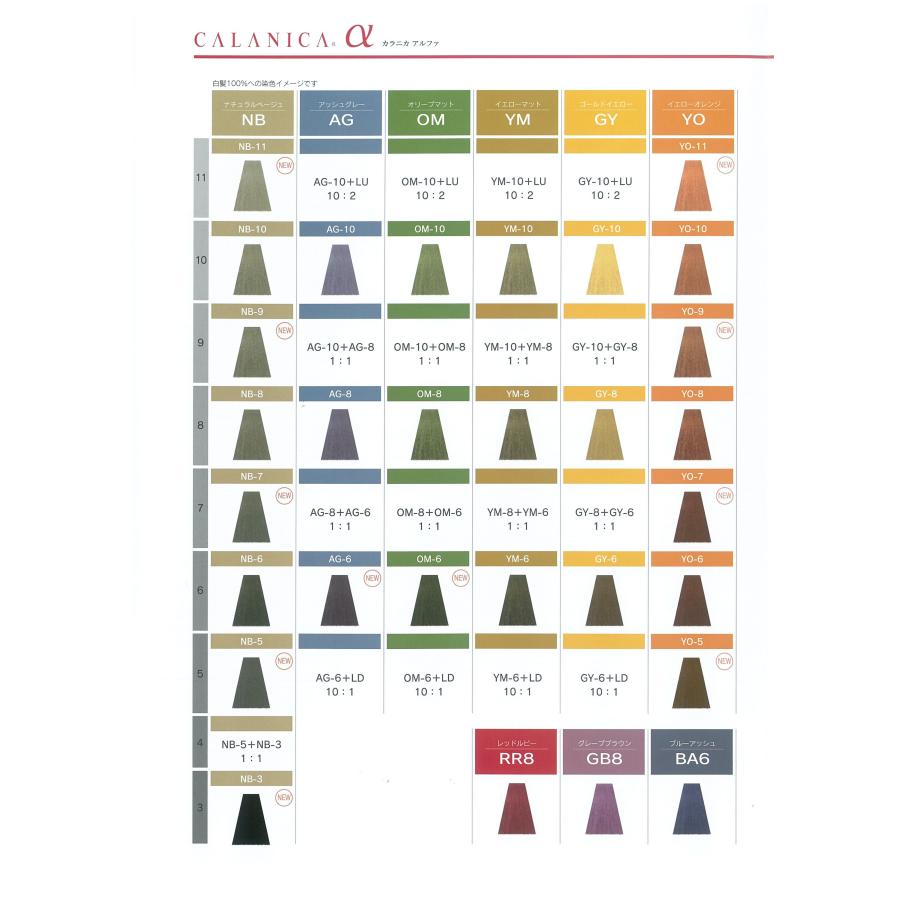 ヘアカラー おしゃれ染 NB-5 ナチュラルベージュ カラニカアルファー 1