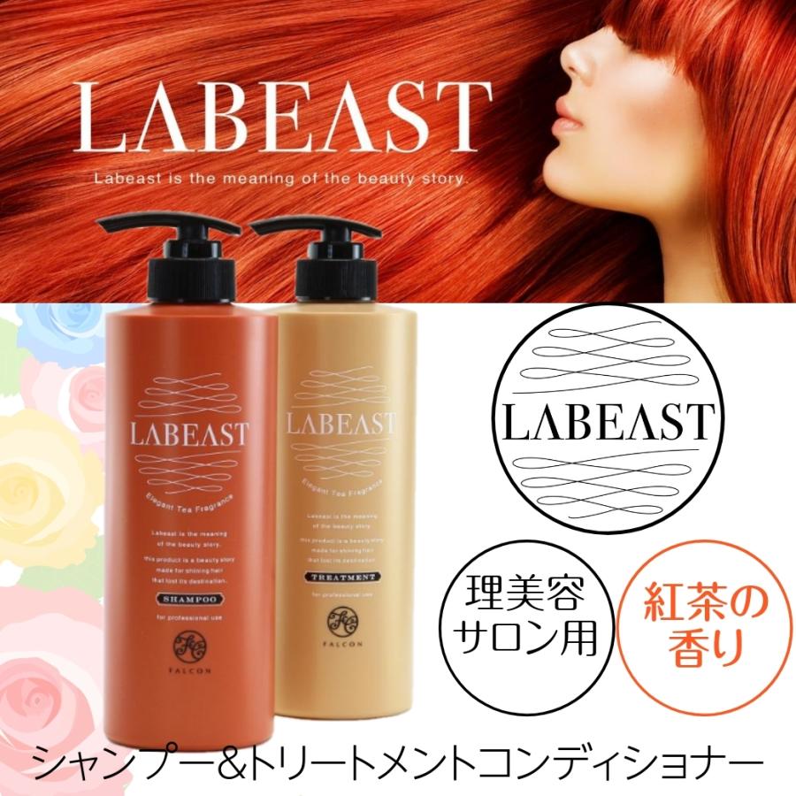 LABEAST サロン専売 シャンプー トリートメントコンディショナー 美容