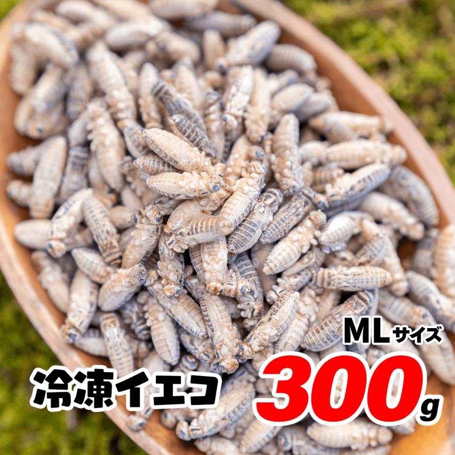 冷凍コオロギ 300g 約1000匹 1.5-2cm コオロギ ヨーロッパイエコオロギ