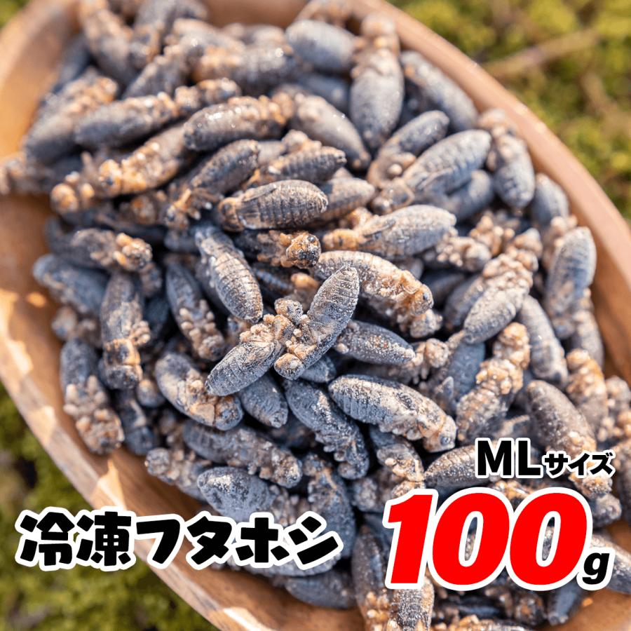 冷凍コオロギ 100g 約200匹 2cm前後 コオロギ フタホシコオロギ レオパ