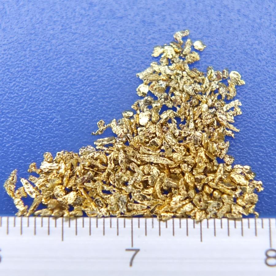 砂金 自然金 本物です 1.0gram ケース付き 標本 サンプル 鉱物の勉強