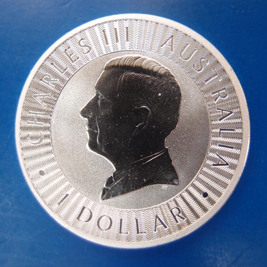 2026年】カンガルー1オンス銀貨 新品未使用 純銀 ケース入り : Gold