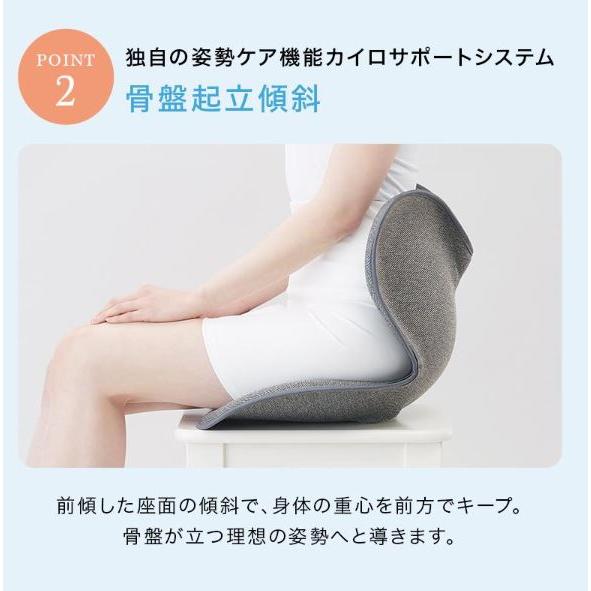 MTG Style Standard スタイルスタンダード 椅子 クッション 腰痛緩和