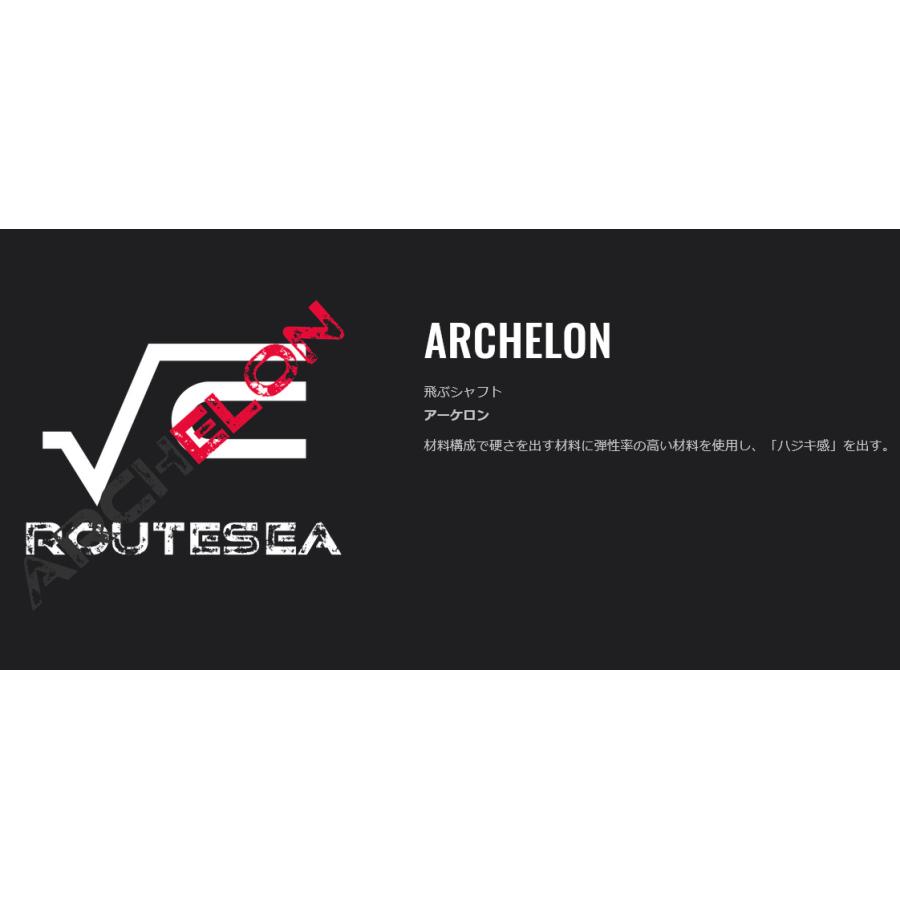 スタンゴルフ ブラックアウト プロトステガ STUNGOLF BlackOut