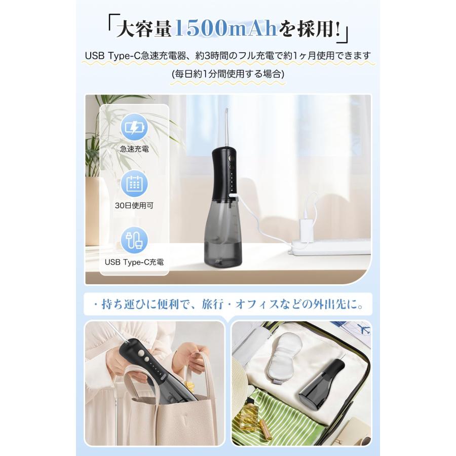 口腔洗浄器 ジェットウォッシャー ウォーターフロス 替えノズル6本 4