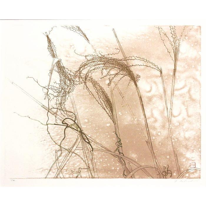 田渕俊夫 「 すすき 」 四季六題より オリジナル リトグラフ 石版画