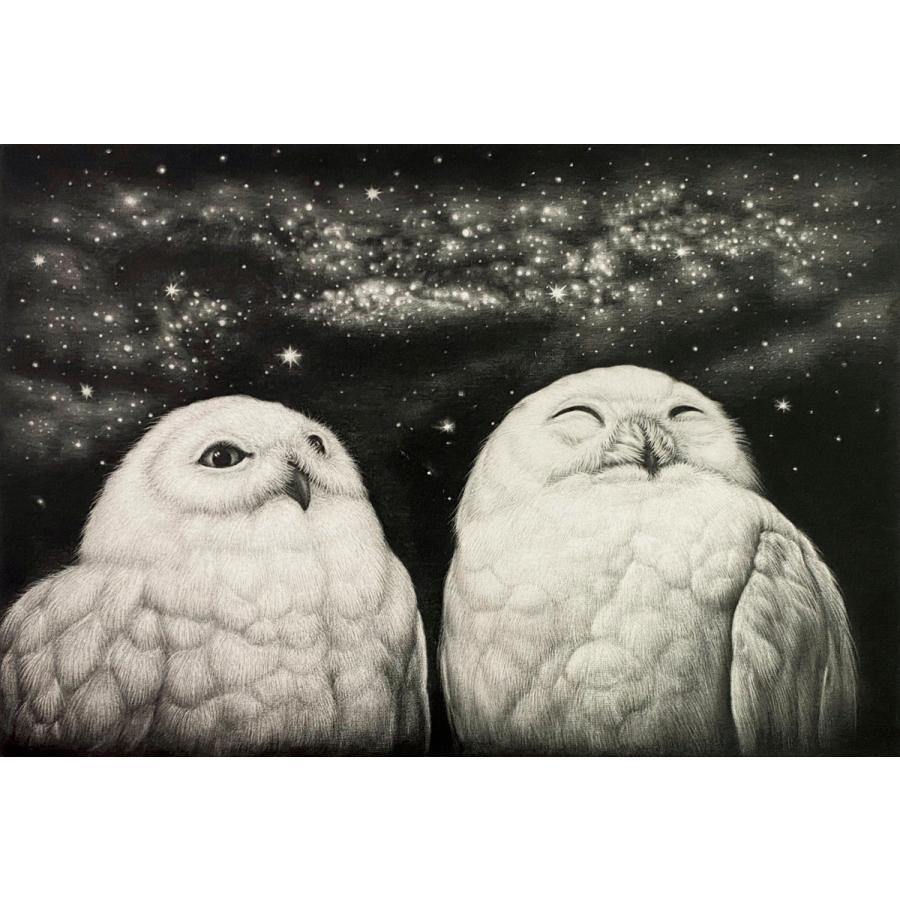 生田宏司「七夕」銅版画 メゾチント 額装 2羽のフクロウ 銀河 宇宙