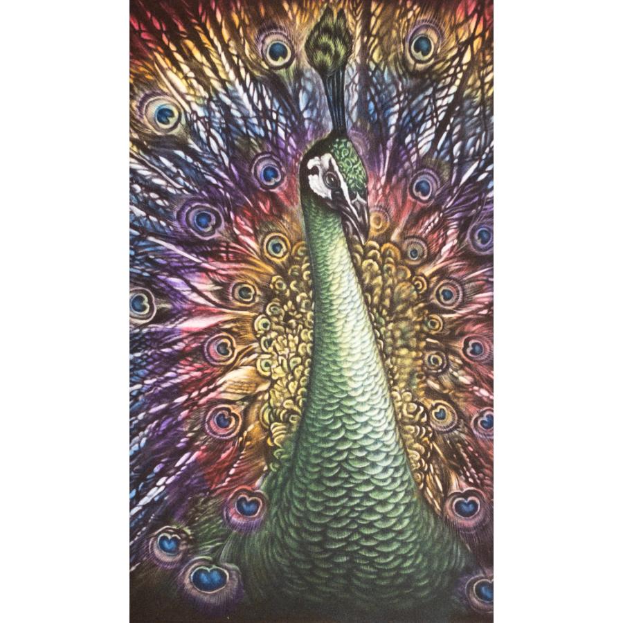 生田宏司「観音孔雀」銅版画 カラーメゾチント 額装 鳥 花