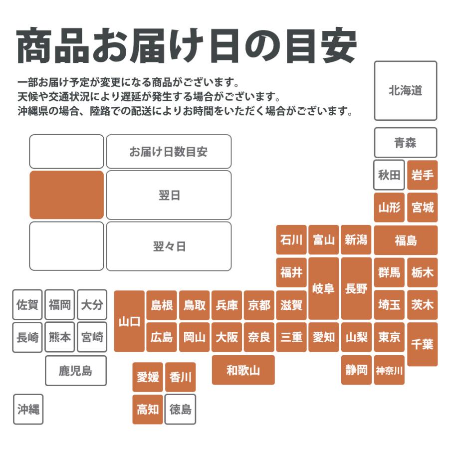 iPad 第5世代 32GB Wi-Fi+Cellular SIMフリー ゴールド 2017年 中古