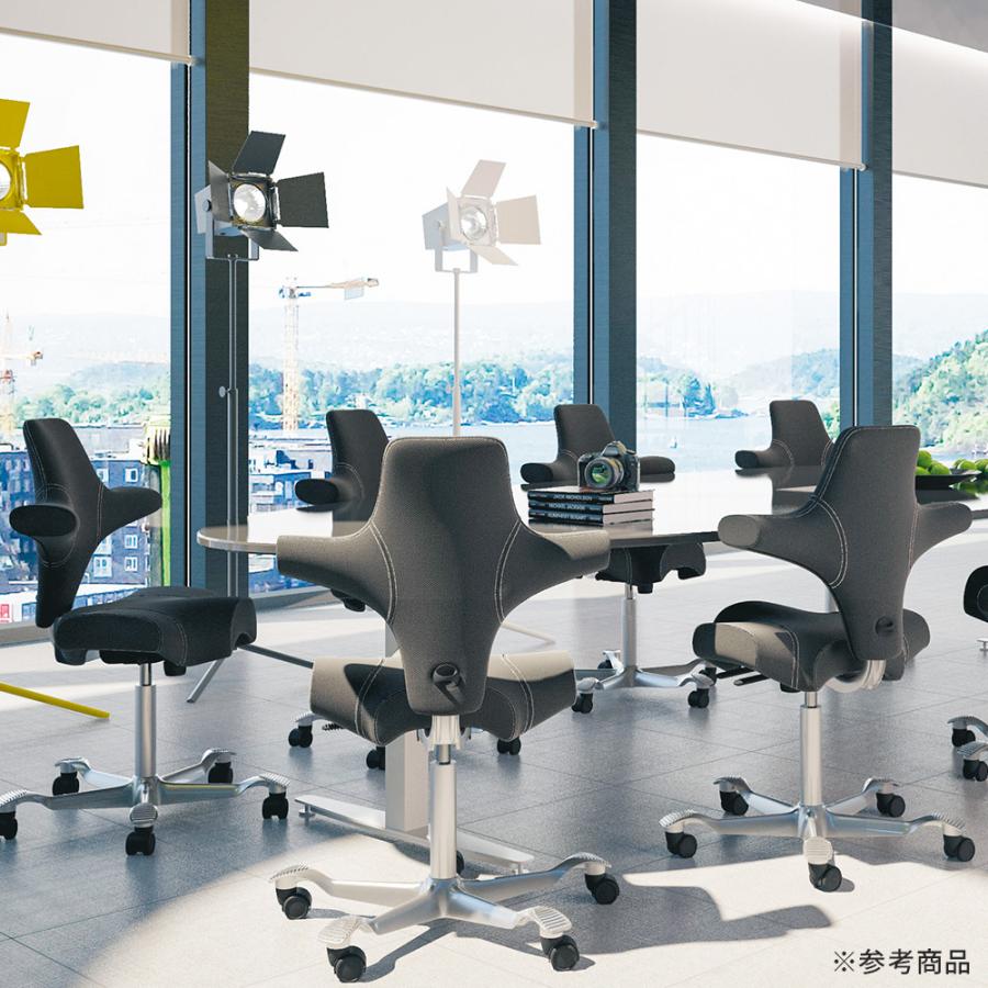 正規輸入品】HAG Capisco ホーグ カピスコ オフィスチェア デスク