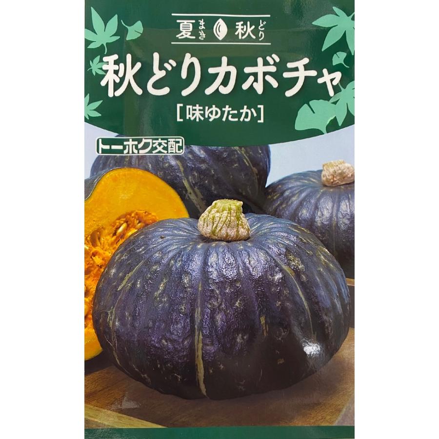 野菜種子 秋どりカボチャ 味ゆたか トーホクのタネ : Gardener s Shop