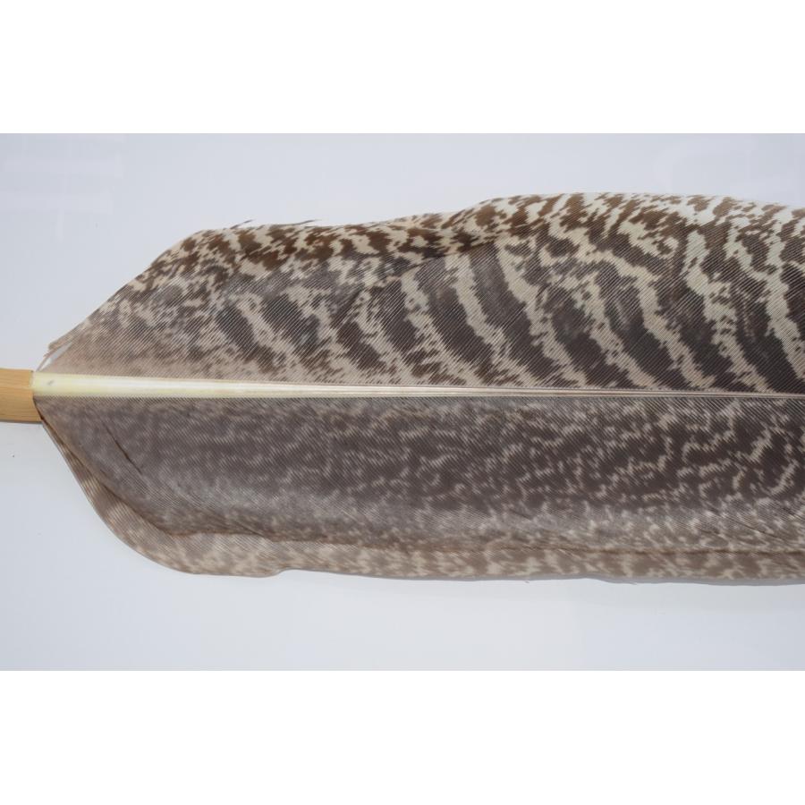 茶道具 羽箒 炉用 左羽根 孔雀 茶道 t tz05-053 : 月香園アウトレット