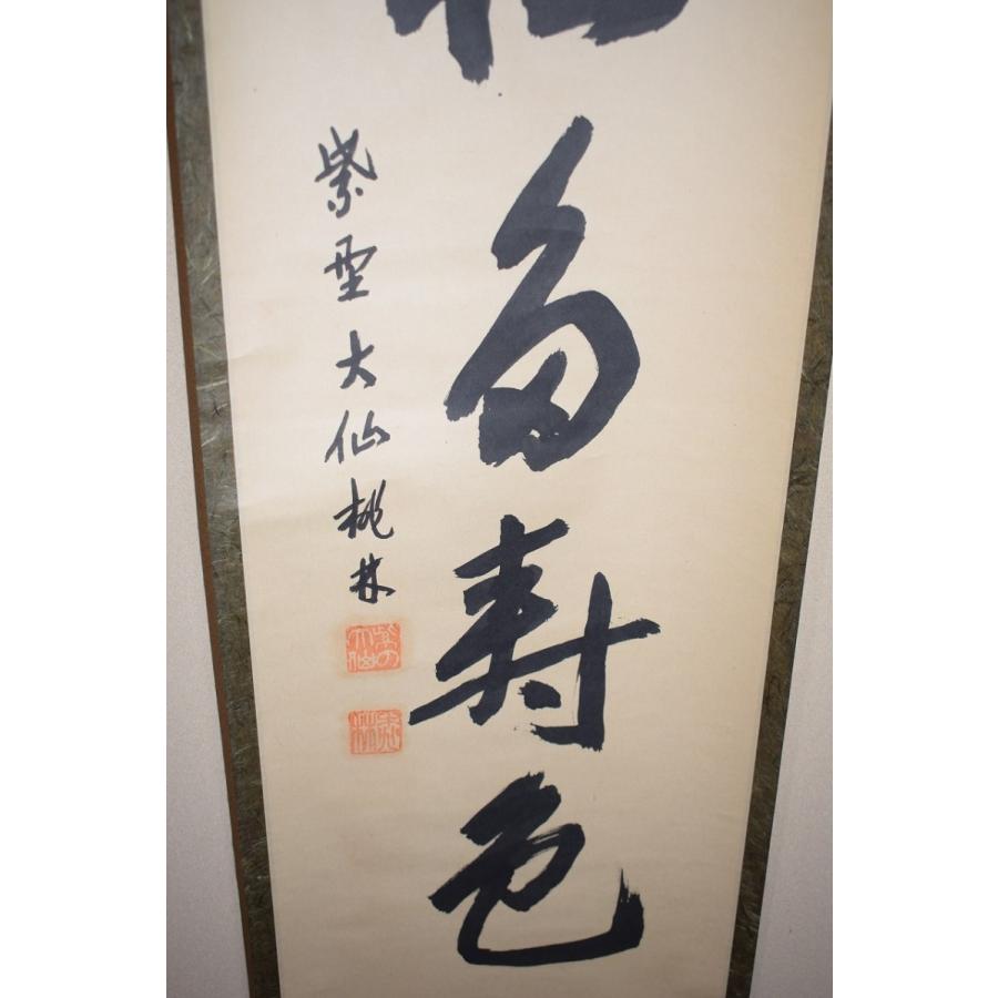 茶道具 掛軸 大徳寺 大仙院 尾関 桃林 「青松多寿色」 掛け軸 01-5201