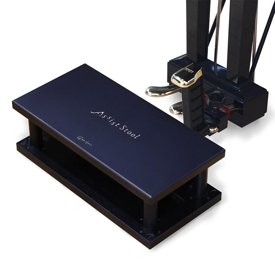 セット商品】 ジェネピス アシストセット 2023年モデル 標準品