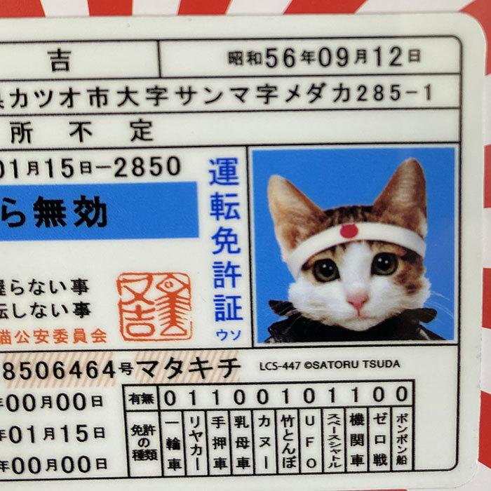 なめ猫 免許証 ステッカー キャラクターステッカー グッズ