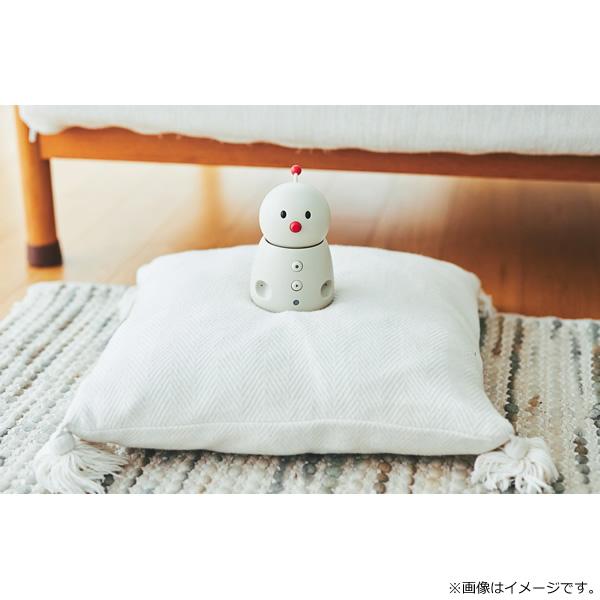 コミュニケーションロボット ユカイ工学 BOCCO emo ボッコ エモ YE