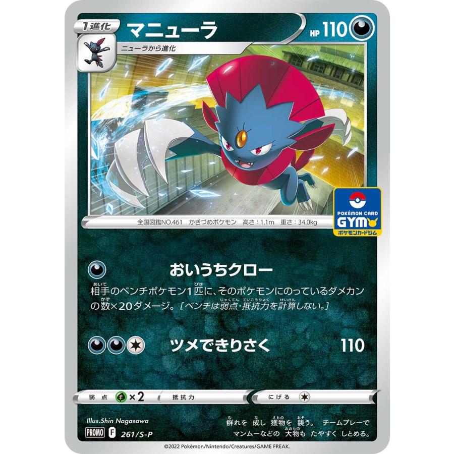 第9弾 ソード＆シールド プロモカードパック ポケモンカードジム