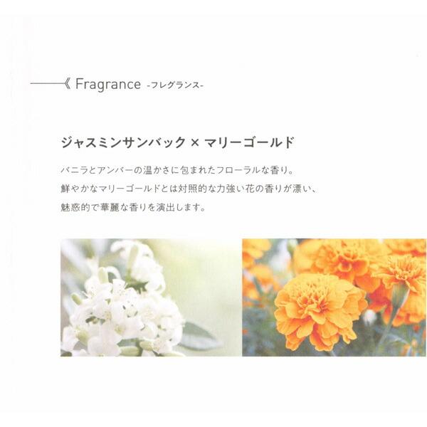 メテオ ノアオイル ヘアトリートメント 150g METEO NOAH OIL アウト