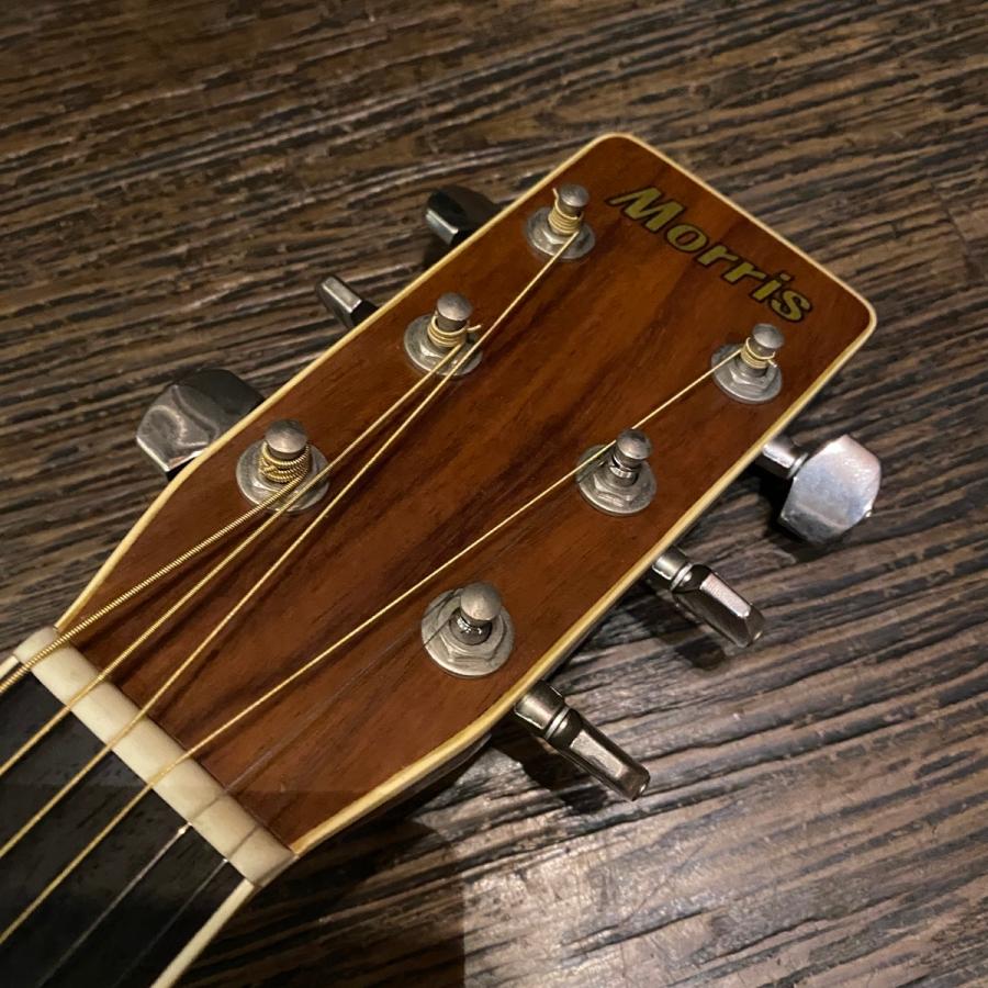 Morris Morris MD-510 Acoustic Guitar アコースティックギター