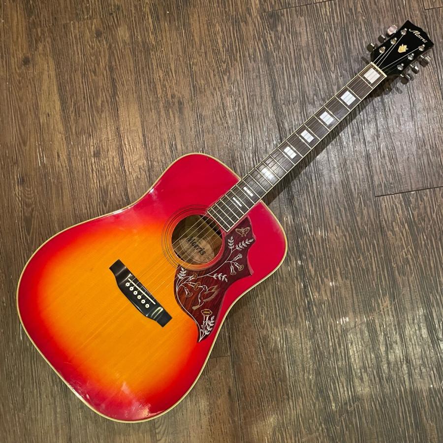 Morris Morris WH-20 Acoustic Guitar アコースティックギター