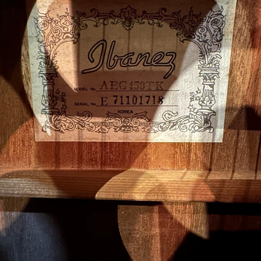 Ibanez（アイバニーズ） Ibanez AEG450TK Electric Acoustic Guitar