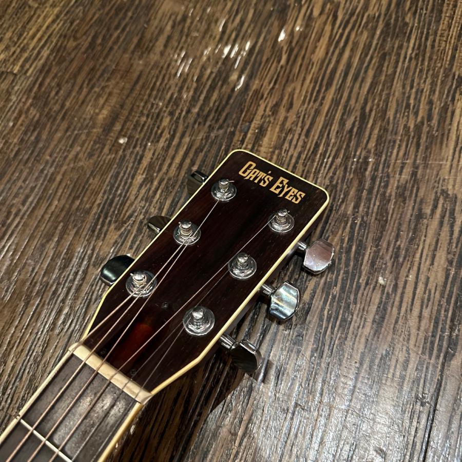 東海 Cat's Eyes CE-250 Acoustic Guitar アコースティックギター