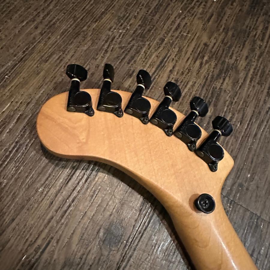 FERNANDES（フェルナンデス） Fernandes ZO-3 芸達者 Electric Guitar