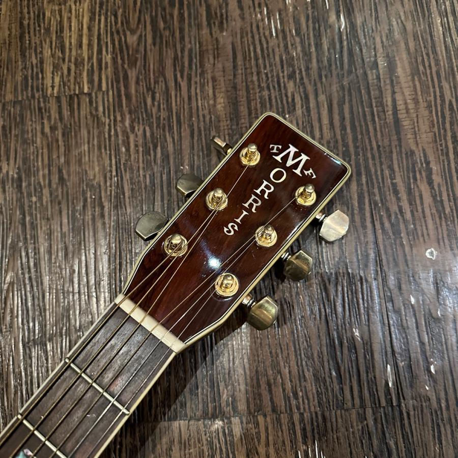 Morris Morris TF-801 Acoustic Guitarアコースティックギター