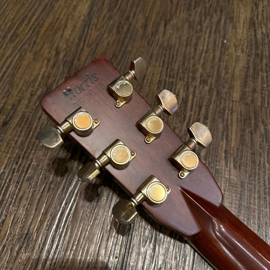 Morris Morris TF-801 Acoustic Guitarアコースティックギター