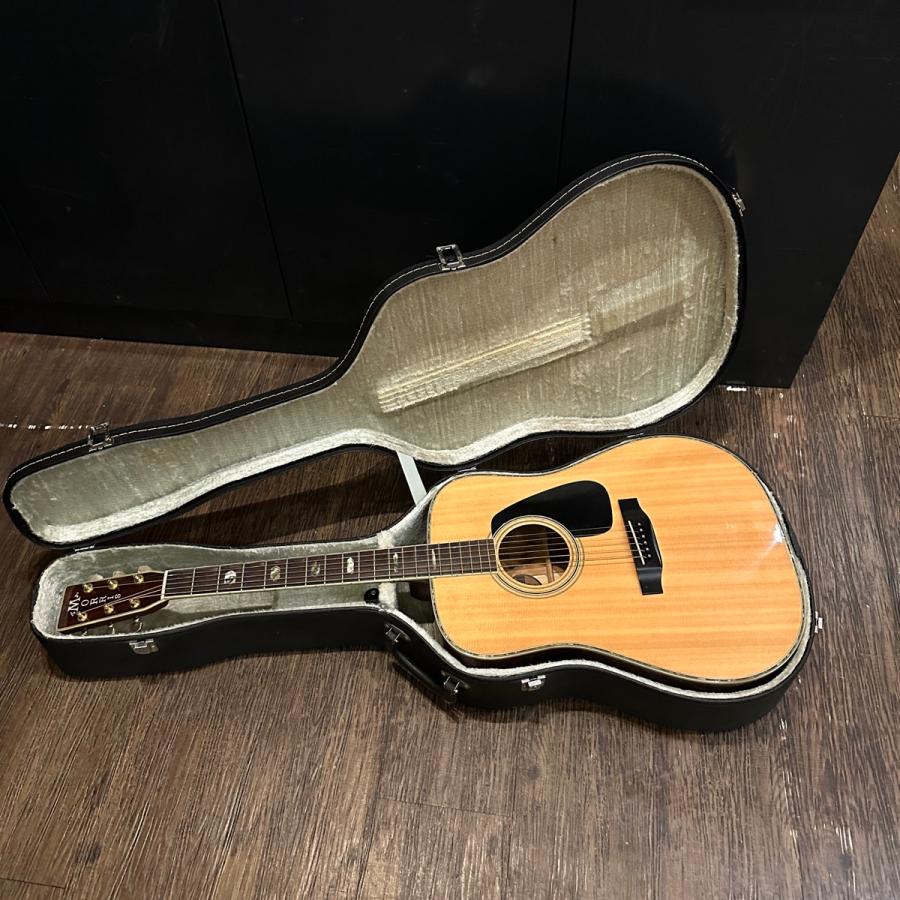 Morris Morris TF-801 Acoustic Guitarアコースティックギター