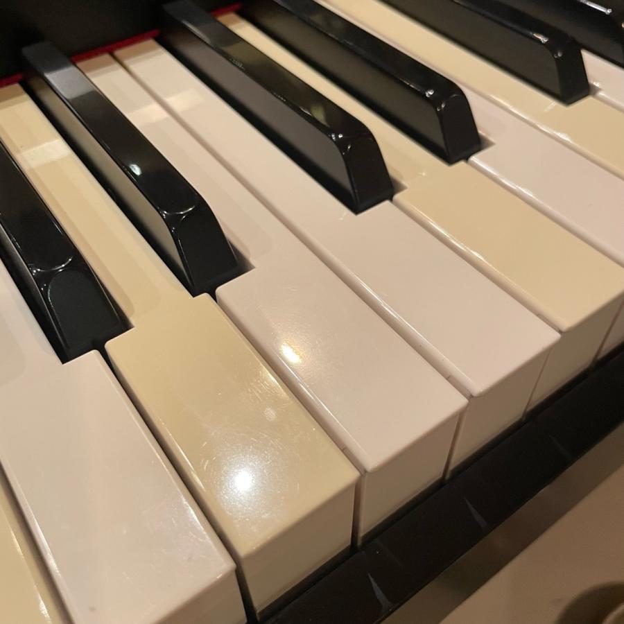 KORG（コルグ） Korg SP-170 Keyboard 電子ピアノ キーボード 88鍵