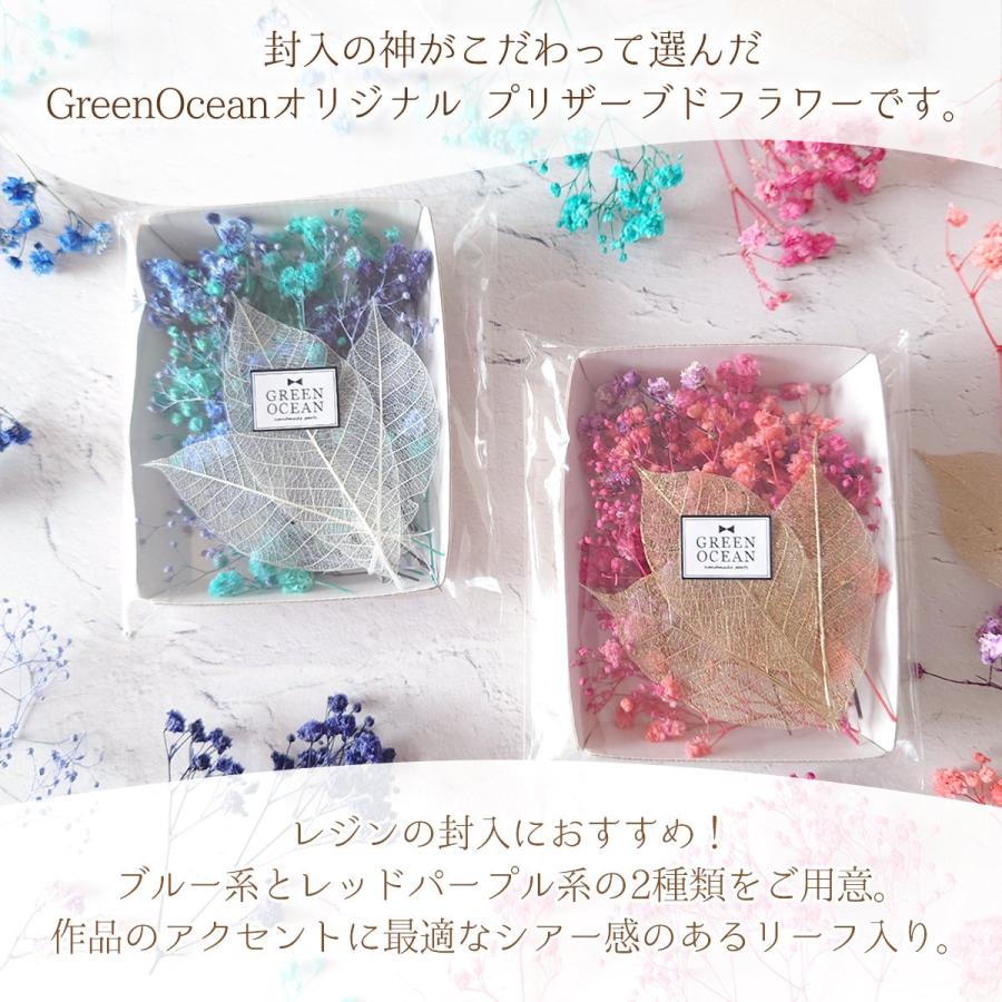 隠れ工房GreenOcean プリザーブドフラワー 枝付きカスミソウ リーフ