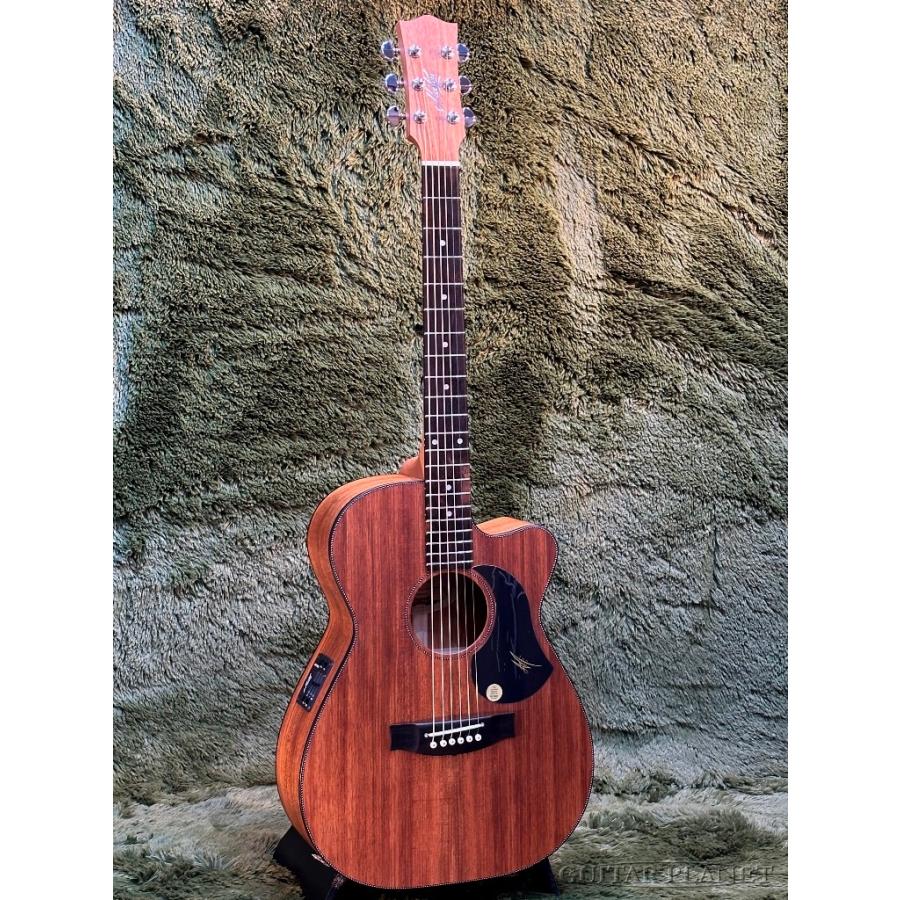 Maton EBW808 C ~All Blackwood Series~ #29280 新品《エレアコ/アコギ