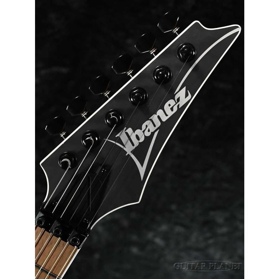 Ibanez RG420EX -BKF (Black Flat)-《エレキギター》 : ギター