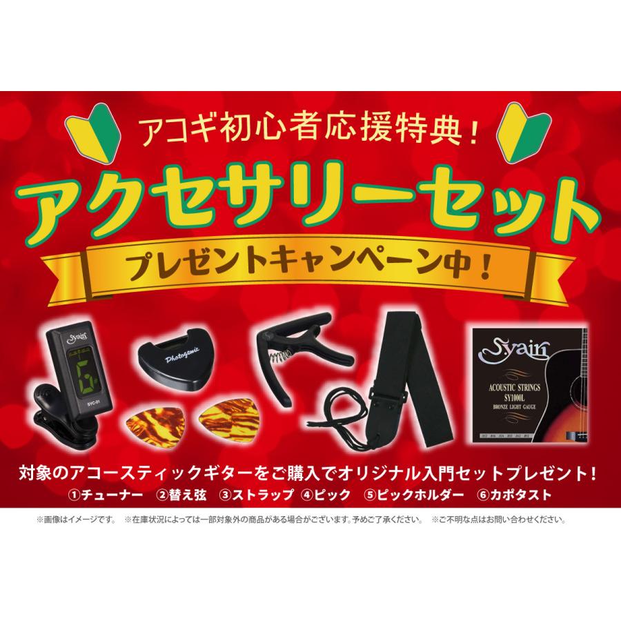 Stafford.SF-4DMオールマホ。トップ単板エレアコ。ソフトケース付き