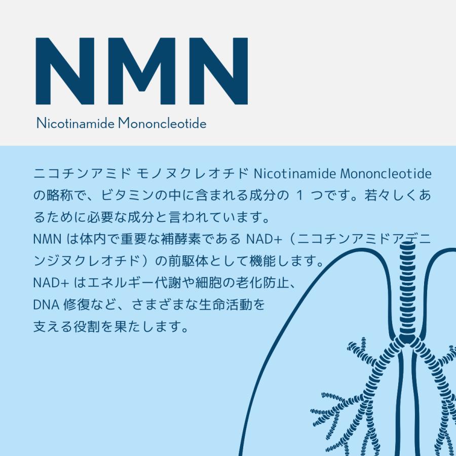 PrimeNMN15000 nmn サプリ 日本製 国内製造 高品質 粉末 高純度100