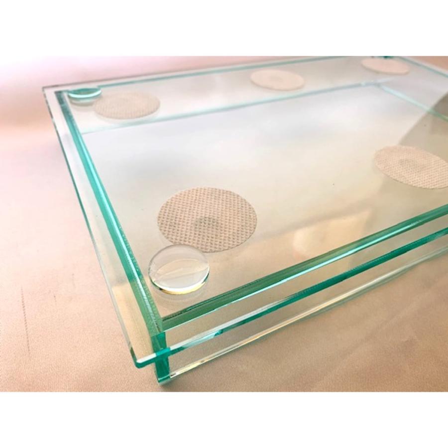 2wayクラフトBOXセット(架台・水槽) dda クワガタ カブトムシ 飼育