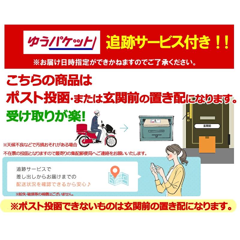 第一三共ヘルスケア 【送料無料・メール便・2個セット】【第一三共