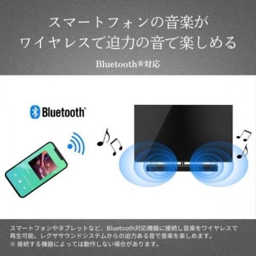 REGZA（レグザ） サウンドバー レグザサウンドシステム 3.1ch Dolby