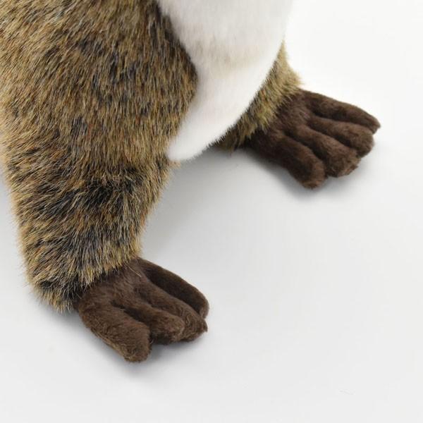 HANSA BH3319 カワウソ 獺 かわうそ ぬいぐるみ リアル : Dear Bear