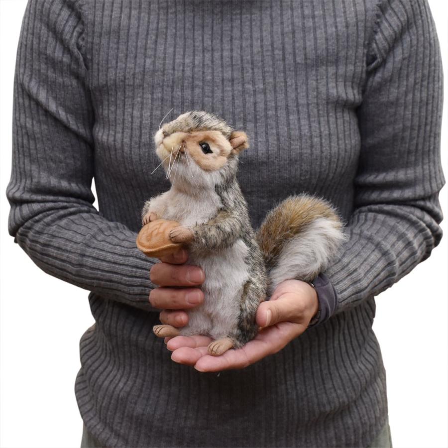 HANSA BH4841 ハイイロリス はいいろりす 栗鼠 ぬいぐるみ リアル