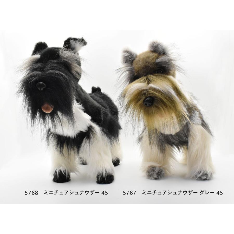 HANSA BH5768 ミニチュアシュナウザー みにちゅあしゅなうざー いぬ