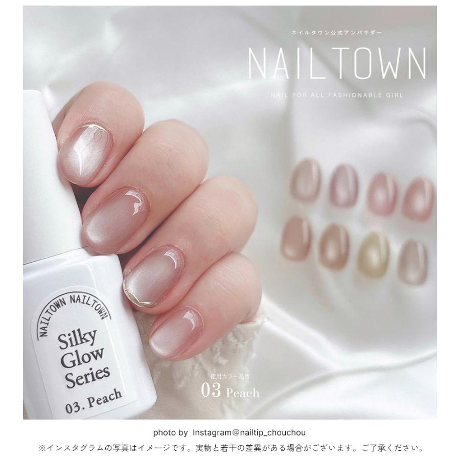 NAILTOWN（ネイルタウン） [宅配便送料無料]超微粒 マグネットネイル