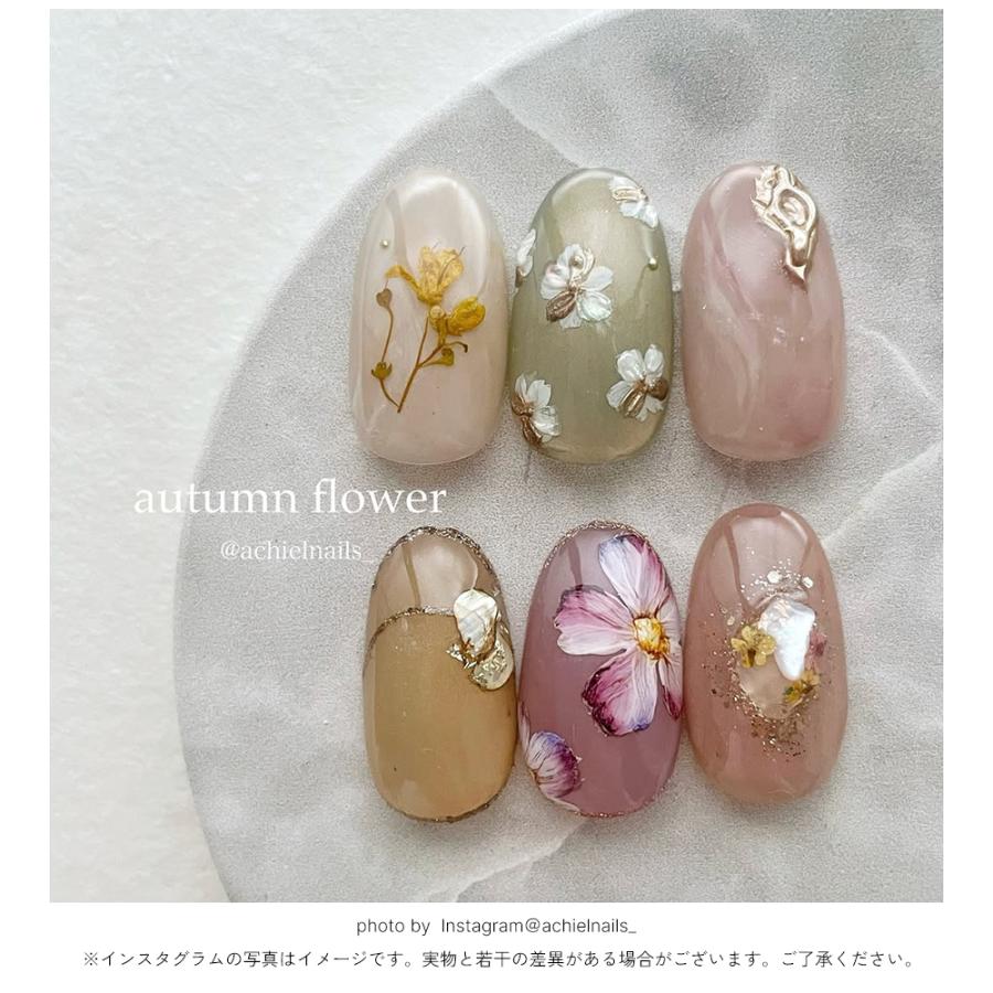 NAILTOWN（ネイルタウン） [アウトレット品]超微粒 マグネットネイル