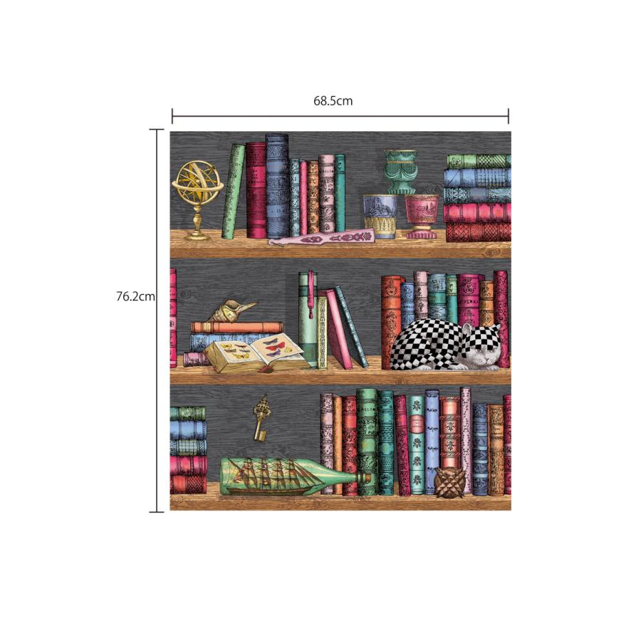 本棚柄 ブックスタンド 洋書柄 イタリア フォルナセッティ Cole＆Son