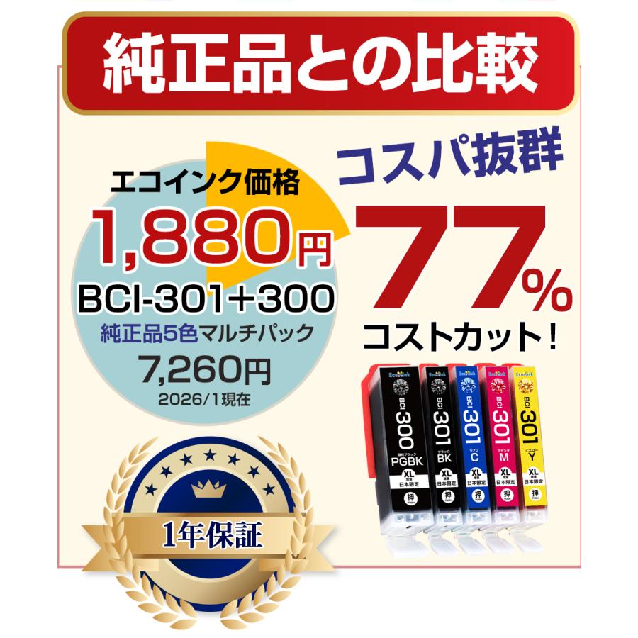 エコインク BCI-301+300 5MP 大容量 5色セット キャノン Canon 互換