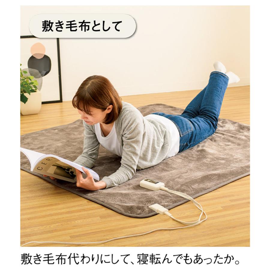 dinos（ディノス） 電気ブランケット ひざ掛け 大判サイズ 節電省エネ