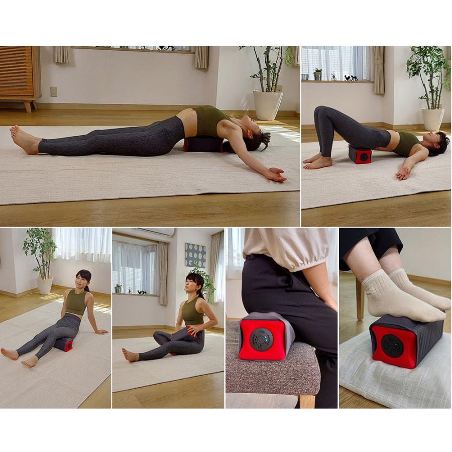 dinos（ディノス） トレーニング マシン 筋トレ エクササイズ 内転筋