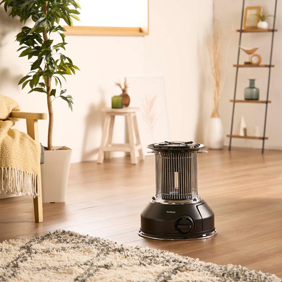 Iwatani（イワタニ） ガスストーブ ストーブ ガスヒーター カセット